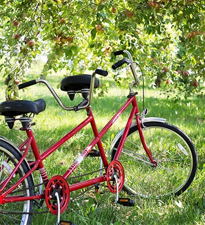 Summer Bike Tandem Bike Rental in Big Bear, CA